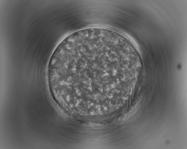 X0000116790907201001151059