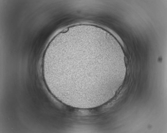 X0000116790911201001151059