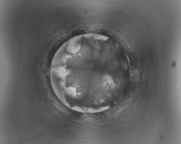 X0000116790913201001151058