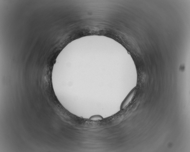 X0000116790914201001151058
