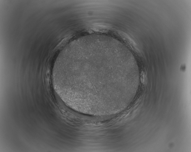 X0000116790915201001151058