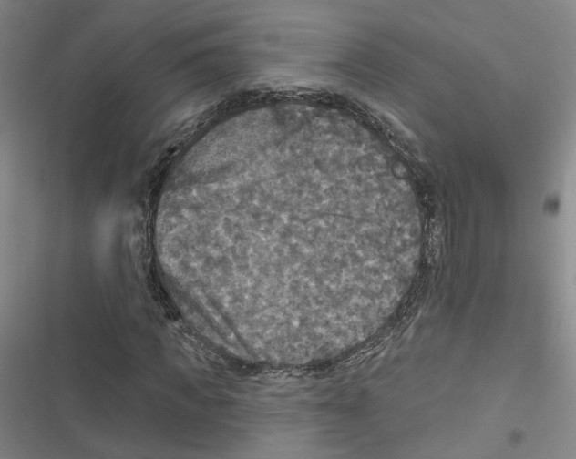 X0000116790917201001151058