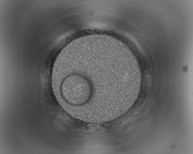 X0000116790918201001151058