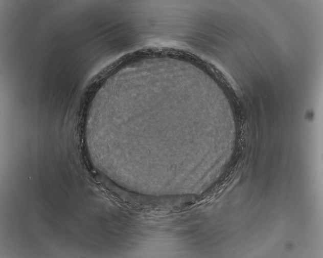 X0000116790919201001151058
