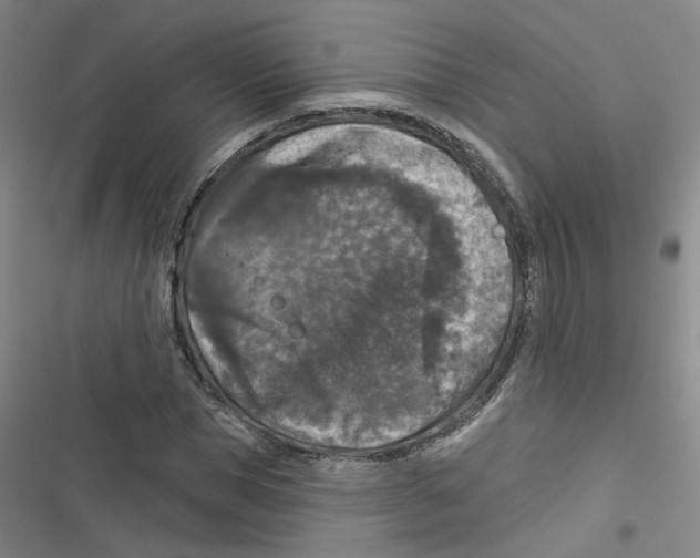X0000116790921201001151058