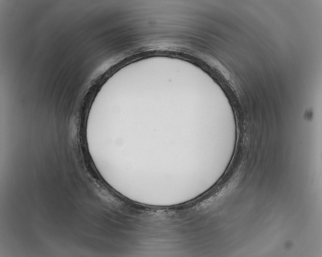 X0000116790922201001151058