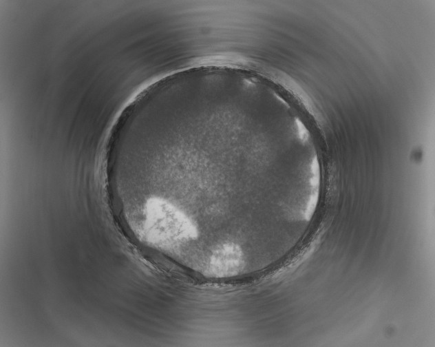 X0000116790923201001151058