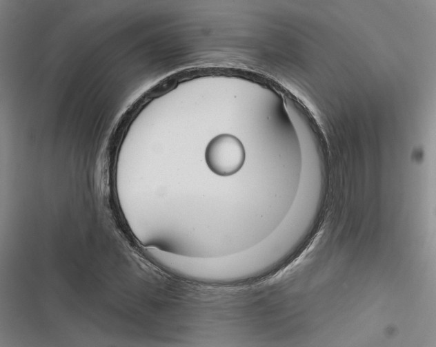 X0000116790925201001151058