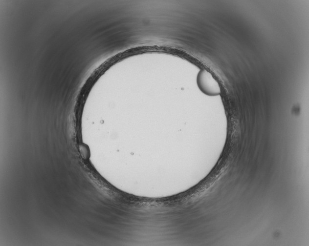 X0000116790927201001151058