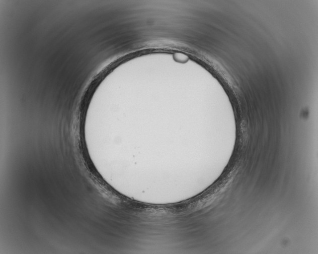 X0000116790931201001151058