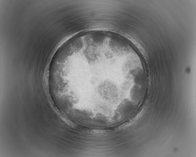 X0000116790933201001151058