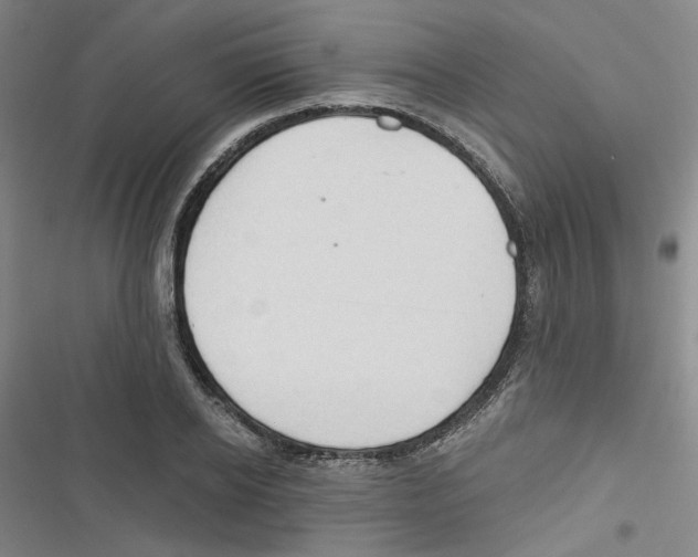 X0000116790934201001151058