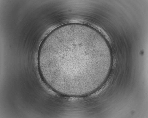 X0000116790938201001151058