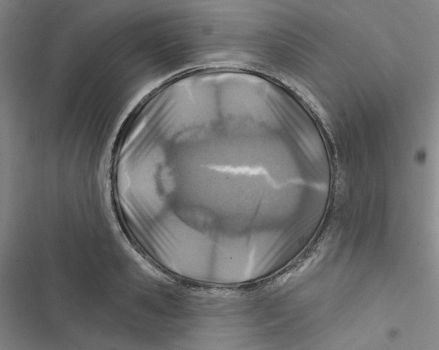 X0000116790941201001151059
