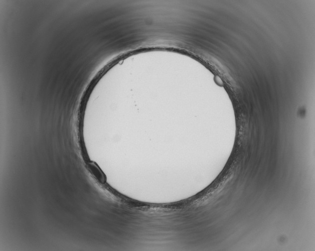 X0000116790942201001151059
