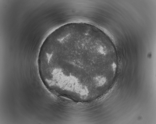 X0000116790943201001151059