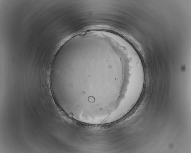X0000116790945201001151059