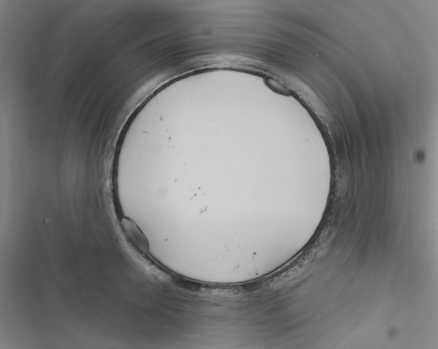 X0000116790946201001151059