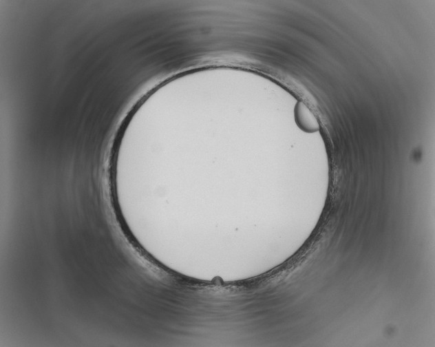 X0000116790947201001151059
