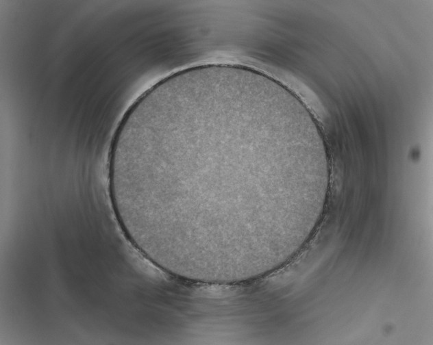 X0000116790950201001151059