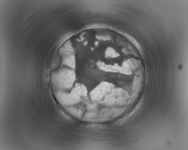 X0000116790953201001151059