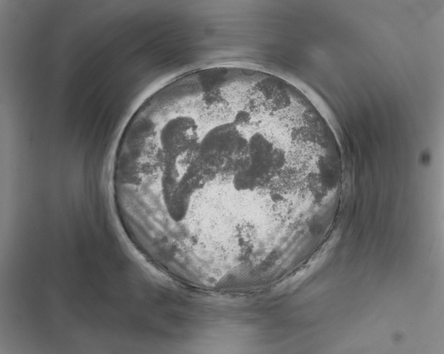 X0000116790957201001151059