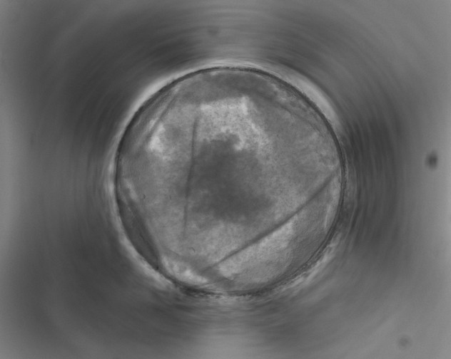 X0000116790958201001151059