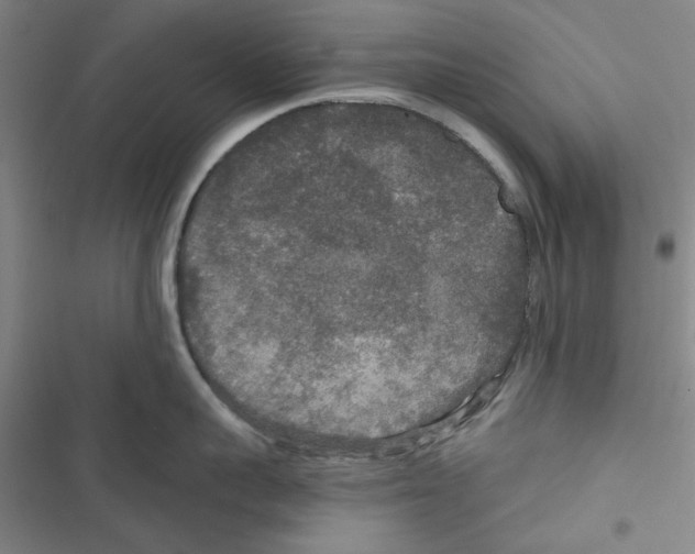 X0000116790959201001151059