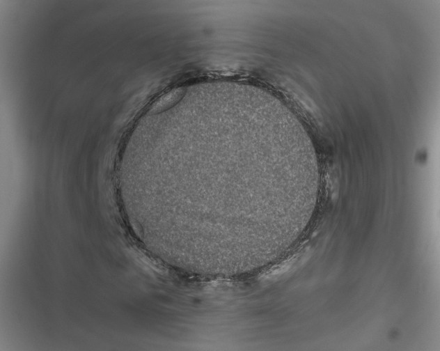 X0000116790961201001151058