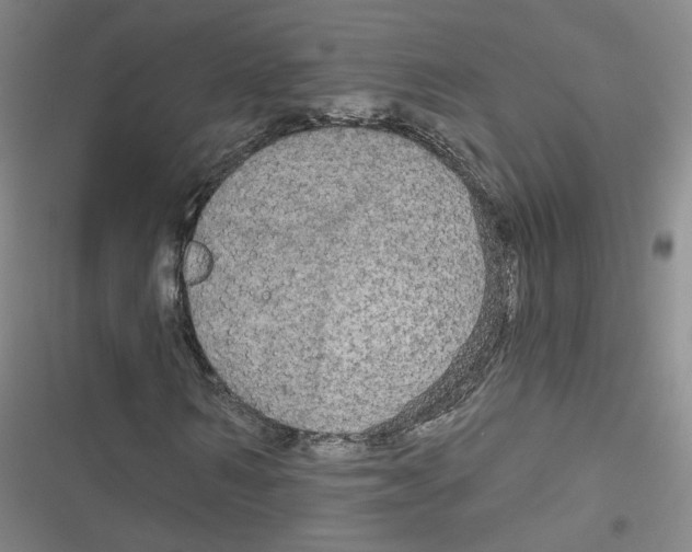 X0000116790962201001151058