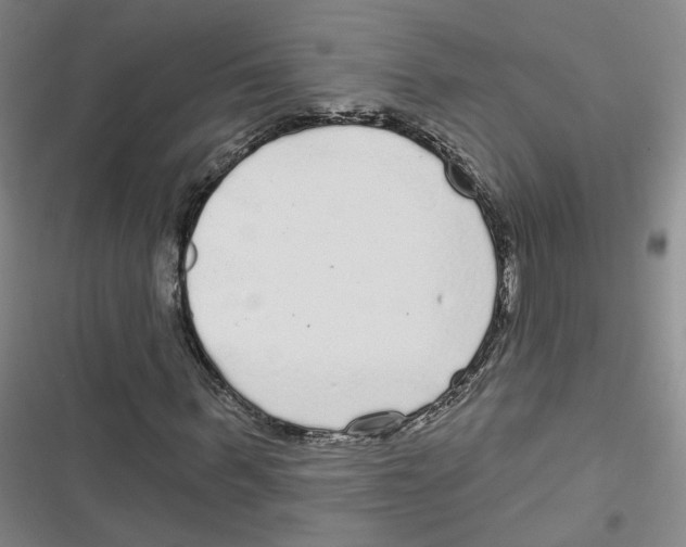 X0000116790963201001151058