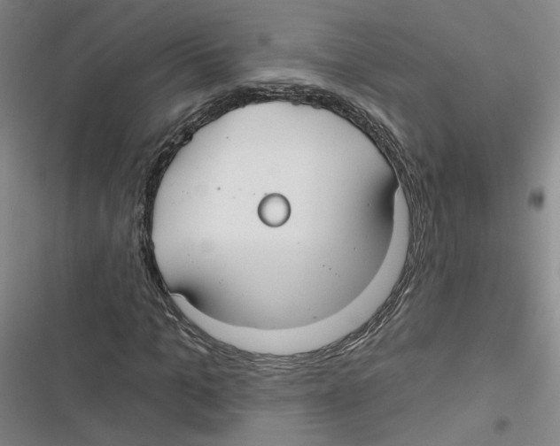 X0000116790965201001151058