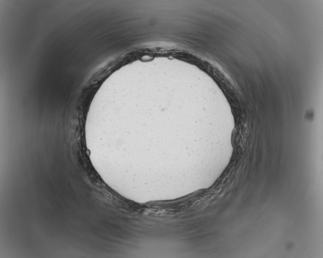 X0000116790967201001151058