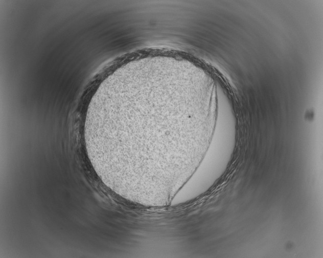 X0000116790968201001151058