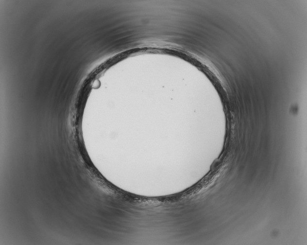 X0000116790971201001151058