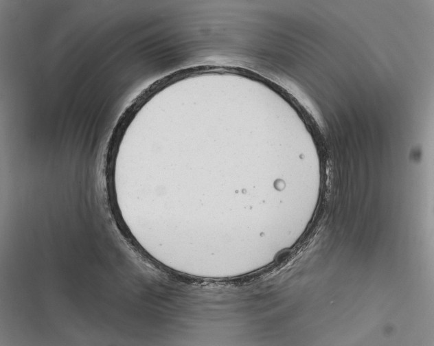 X0000116790972201001151058