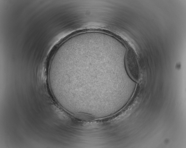 X0000116790973201001151058