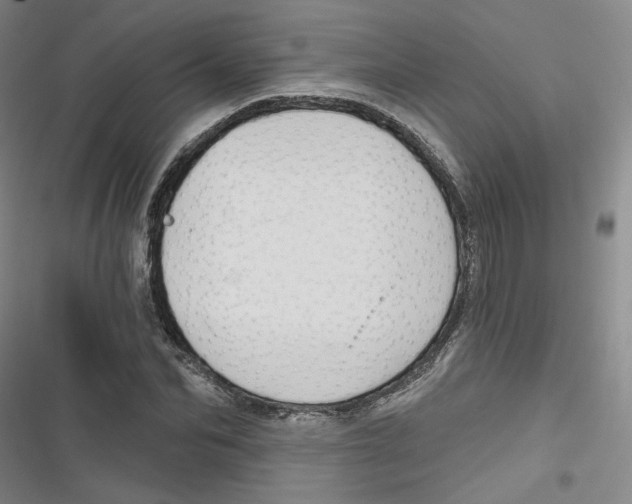 X0000116790974201001151058