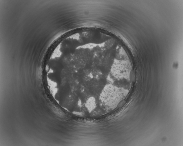 X0000116790975201001151058