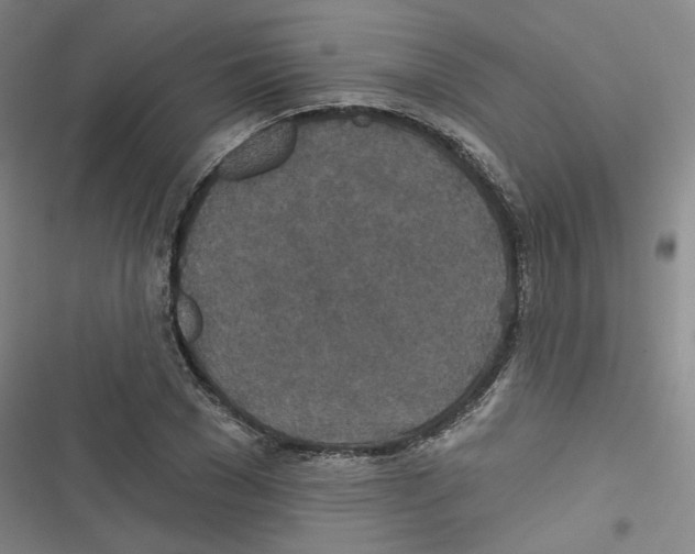 X0000116790977201001151058