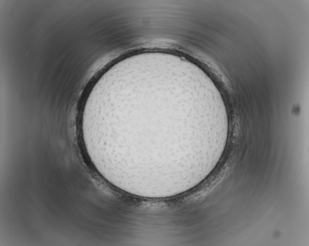 X0000116790978201001151058