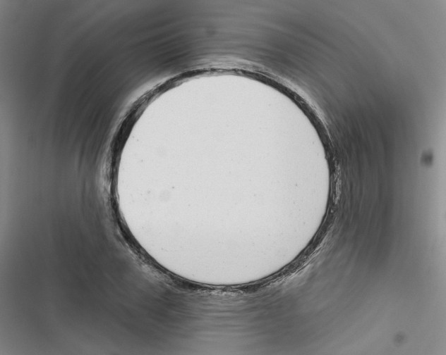 X0000116790979201001151058