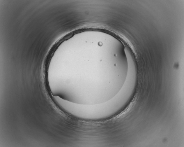 X0000116790981201001151058