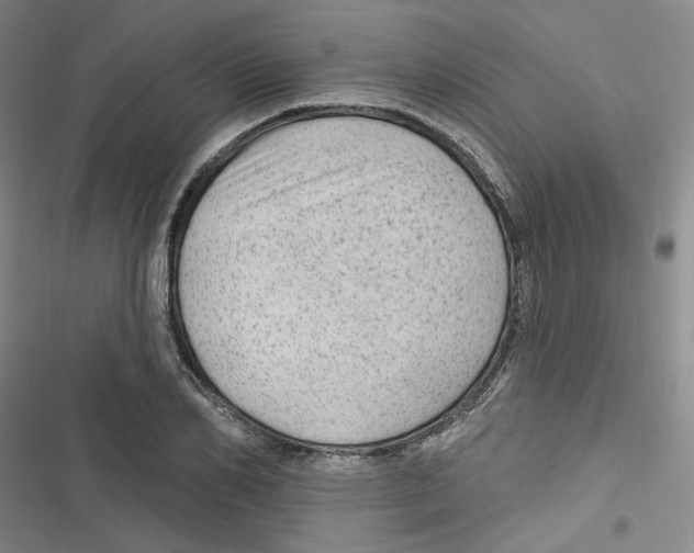 X0000116790982201001151058