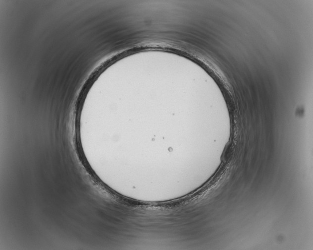 X0000116790984201001151058