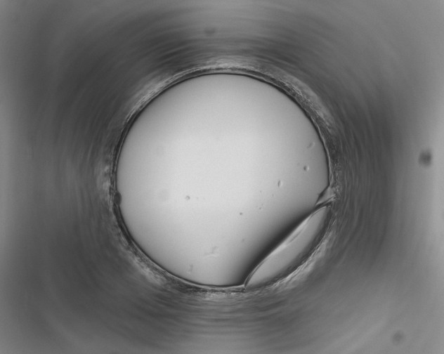 X0000116790985201001151058