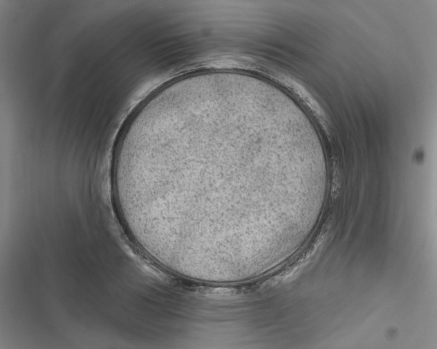 X0000116790986201001151058