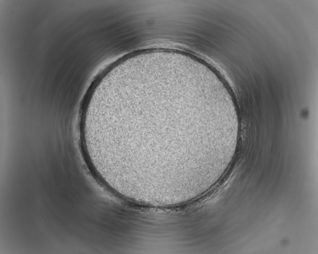 X0000116790987201001151058