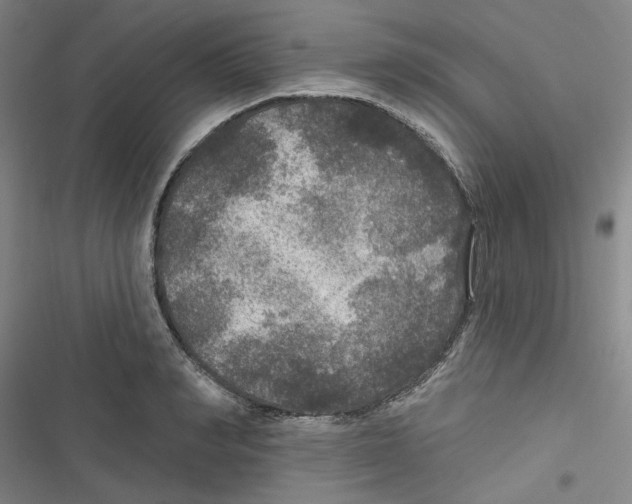 X0000116790990201001151058