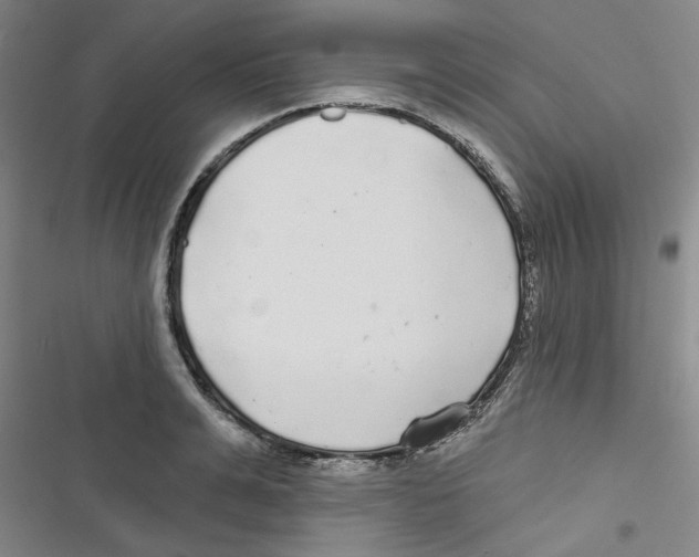 X0000116790991201001151058